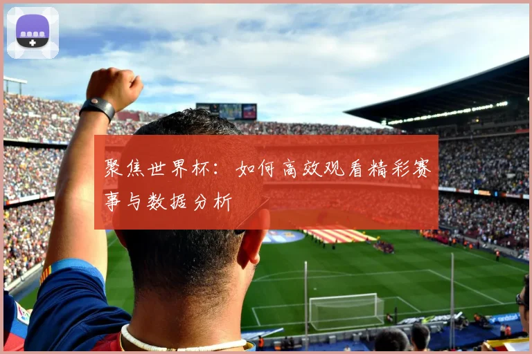 聚焦世界杯：如何高效观看精彩赛事与数据分析