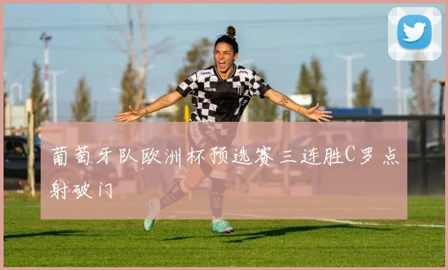 葡萄牙队欧洲杯预选赛三连胜C罗点射破门