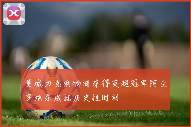 曼城力克利物浦夺得英超冠军阿圭罗绝杀成就历史性时刻