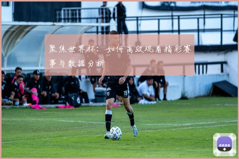 聚焦世界杯：如何高效观看精彩赛事与数据分析