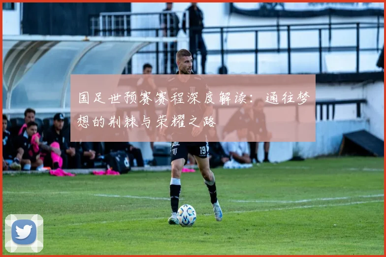 国足世预赛赛程深度解读:通往梦想的荆棘与荣耀之路