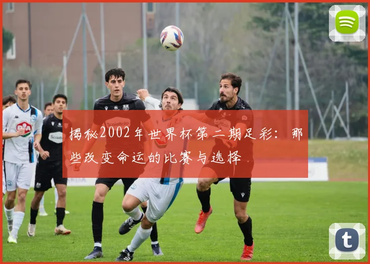 揭秘2002年世界杯第二期足彩：那些改变命运的比赛与选择