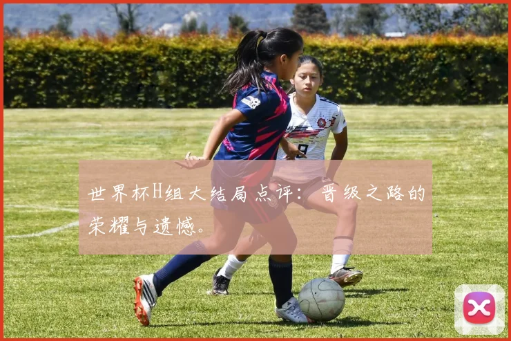 世界杯H组大结局点评:晋级之路的荣耀与遗憾。
