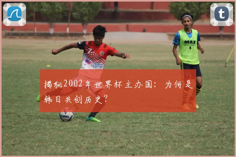 揭秘2002年世界杯主办国：为何是韩日共创历史？