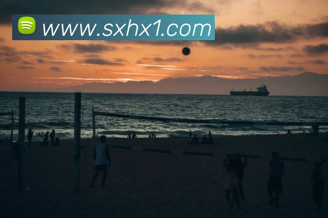 亚搏app注册官网APP 封面图